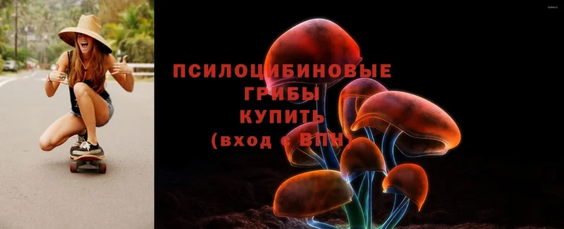 Галлюциногенные грибы Magic Shrooms  Макушино 